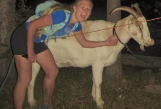 Secret Life of Goats: IMTUF Goats